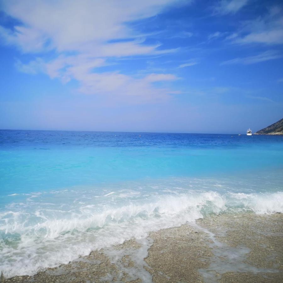 Olive Coast